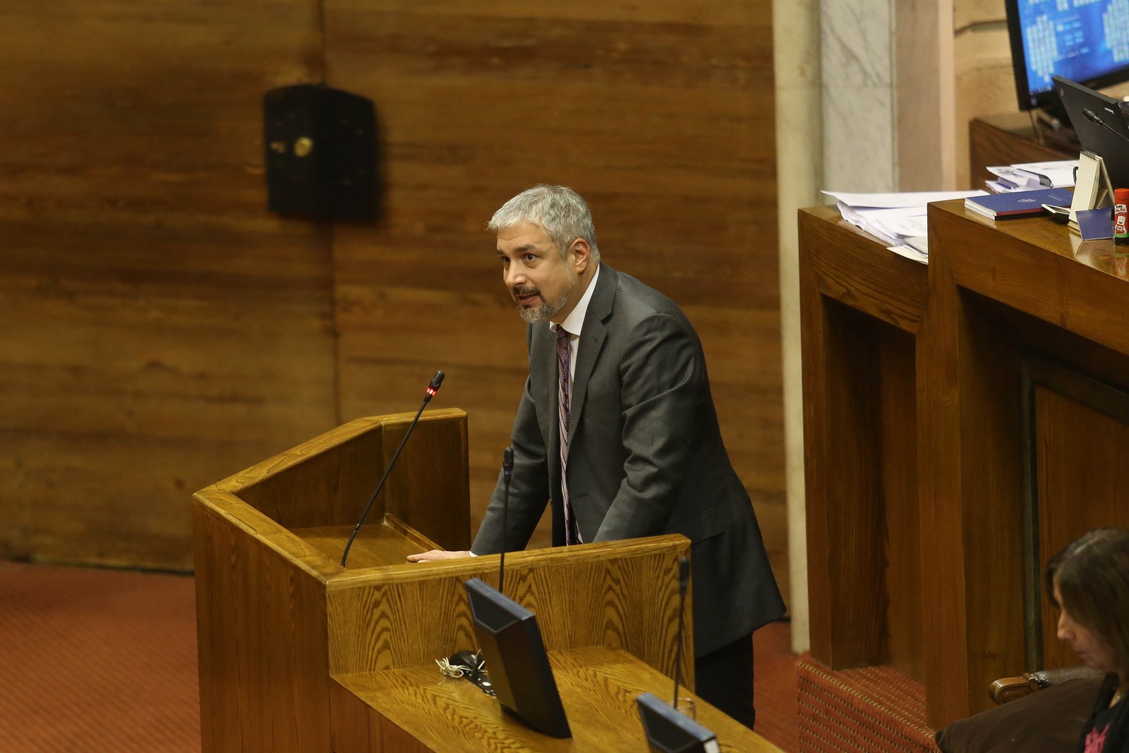 Cámara De Diputados Despacha Al Senado El Proyecto De Ley Que Crea El ...